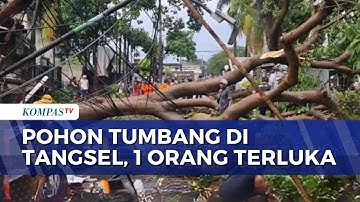 Detik-Detik Hujan Deras dan Angin Kencang di Tangsel, Pohon Tumbang 1 Orang Terluka | KOMPAS MALAM
