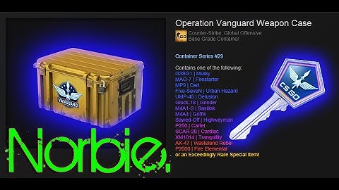 CS:GO ! Vanguard Weapon ONE Case OPENING