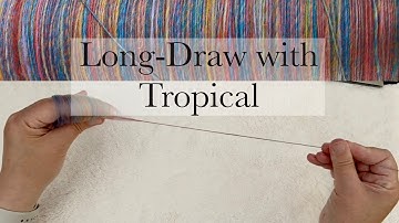 Questionable Blend 9 - Tropical from World of Wool. Spinning from the fold.