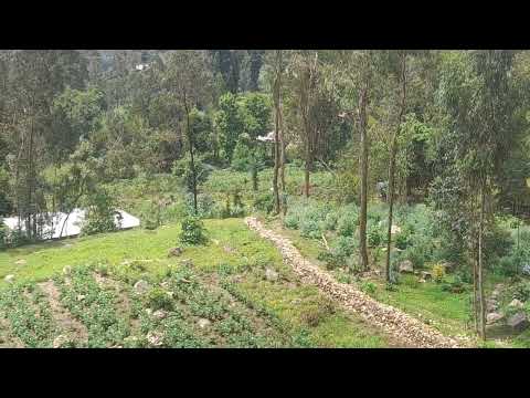 Oromiyaa Jiituu Badhaatuu