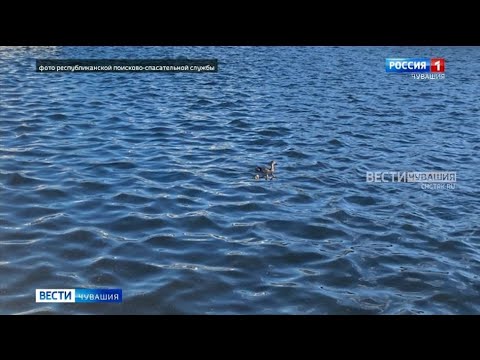 В Чебоксарах спасатели