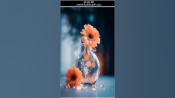 واتقوا يوما لا تجزي نفس عن نفس شيئا ولا يقبل منها شفاعة ولا - سورة البقرة آية 48 عبدالباسط عبدالصمد