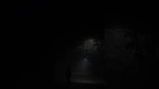 Aral Sea's DARK Secret: What They Hid #Shorts