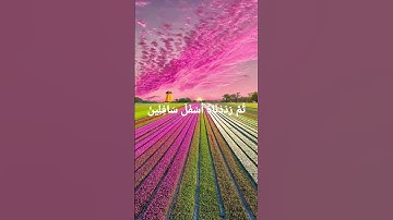#سورة التين Heart touching voice #quran #religion #allahuakbar #flower #freequraneducation