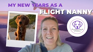 This beautiful RED RETRIEVER flew across the country with me this week. by PurplePup LLC 309 views 1 year ago 11 minutes, 52 seconds