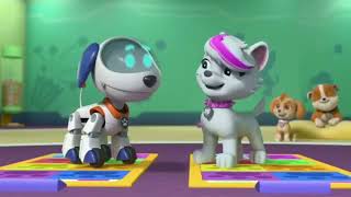 Roxis Highlights From Paw Patrol