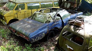 King Of Caprice screenshot 5