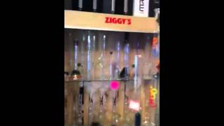 Ziggys smoke shop so cal