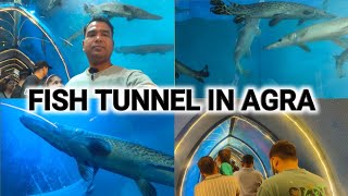 FISH TUNNEL | FISH TUNNEL IN AGRA | FISH MELA | #1 | #rkpalvlogs | RK PAL VLOGS | FISH HI FISH |