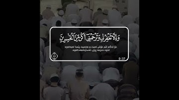 سعد الغامدي حالات واتس اب دينية سورة هود القران الكريم حزين 🥺🦋