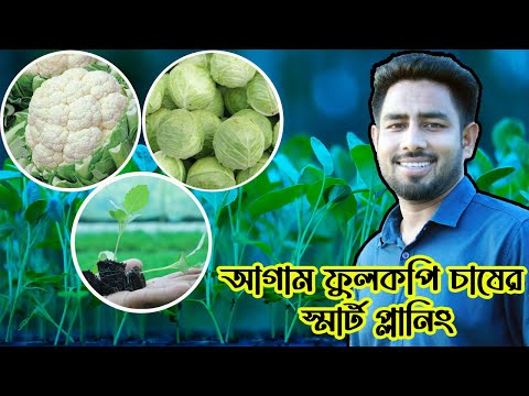 আগাম ফুলকপি চাষের স্মার্ট প্লানিং, চলুন দেখে নিই কি থাকছে ভিডিও টি তে