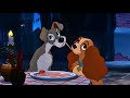 كلب متشرد بيحب كلبه عايشه في قصر وبيخليها تشوف الشارع وبيضرب اي حد يقرب منها ملخصLady And The Tramp 