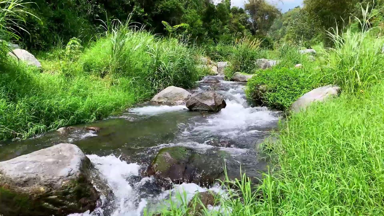 Tranquil River Flow – 10 Hours of Water ASMR  - Stress, Anxiety Relief & Meditation Sounds