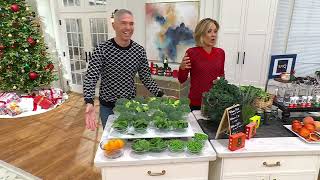 8Greens Effervescent Drink Tablets 60-Count Auto-Delivery on QVC