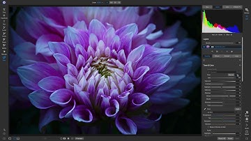 Color & Tone Perfection Using AI - ON1 Photo RAW 2020