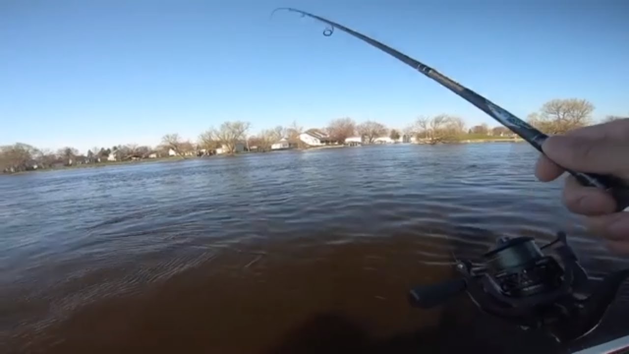 Pumping Flies for White Bass How To Catch White Bass 2019 YouTube