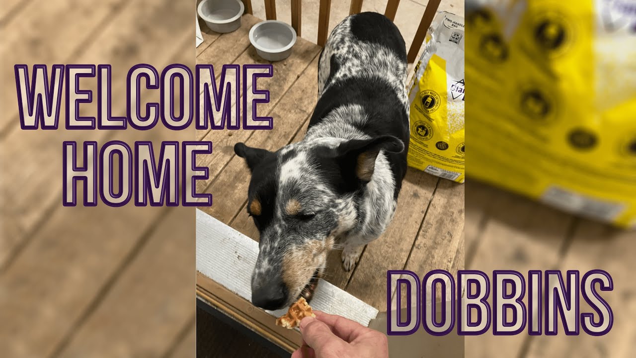 Home to Dobbins YouTube