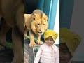 with lion #trending #viralvideo #newharyanvisong #comedy #cutebaby #2मुखी #funny #cute #funnycute
