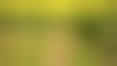 Unmanned Level Crossing Awareness Movie