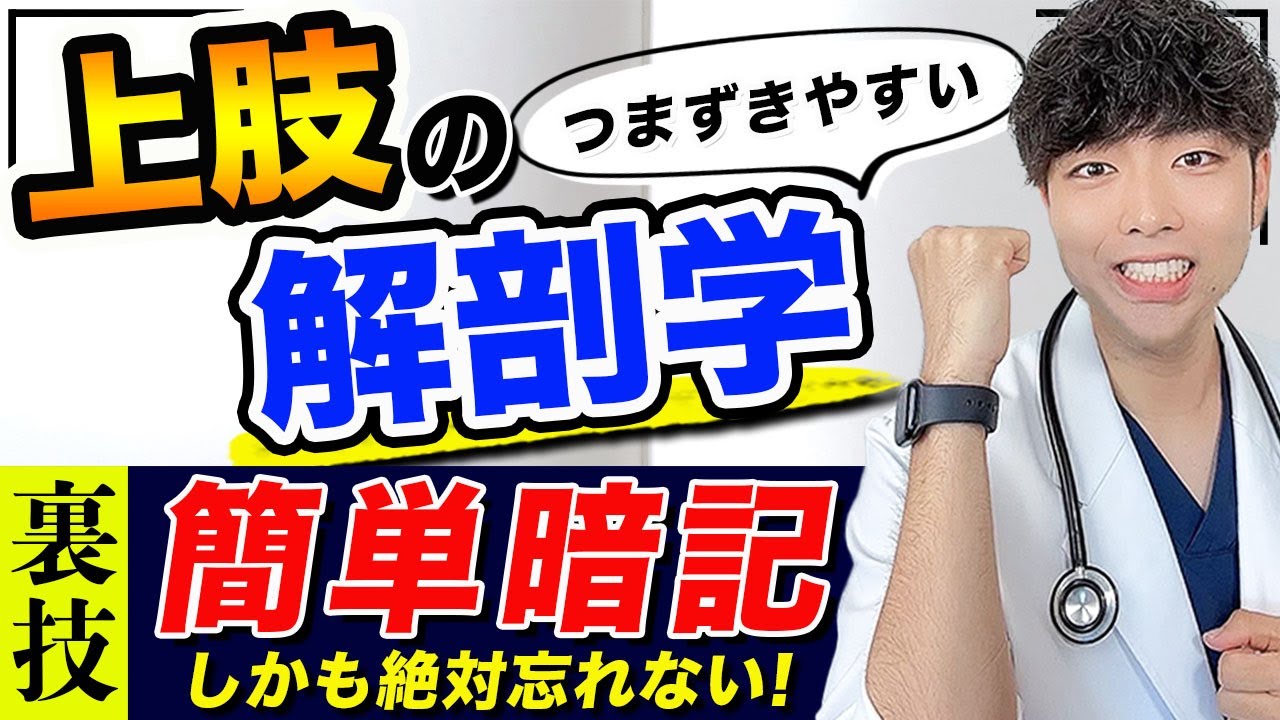 【動画を見るだけ】上肢の解剖を簡単に暗記できる裏技を詰め込みました。(解剖学,上肢,進級試験,CBT,医師国家試験)