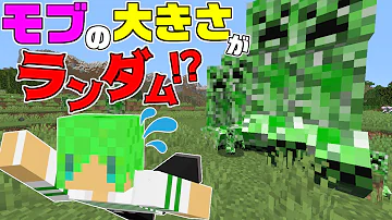 マイクラ大きさ