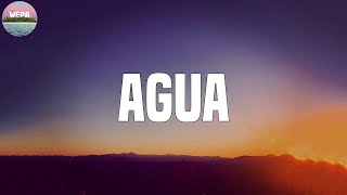 Daddy Yankee - AGUA (Lyrics)