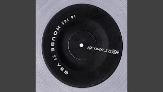 In the House of Yes - Mr Twin Sister