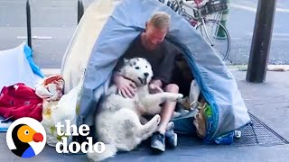 Husky Becomes Obsessed With Homeless Man And Helps Change His Life Forever | The Dodo