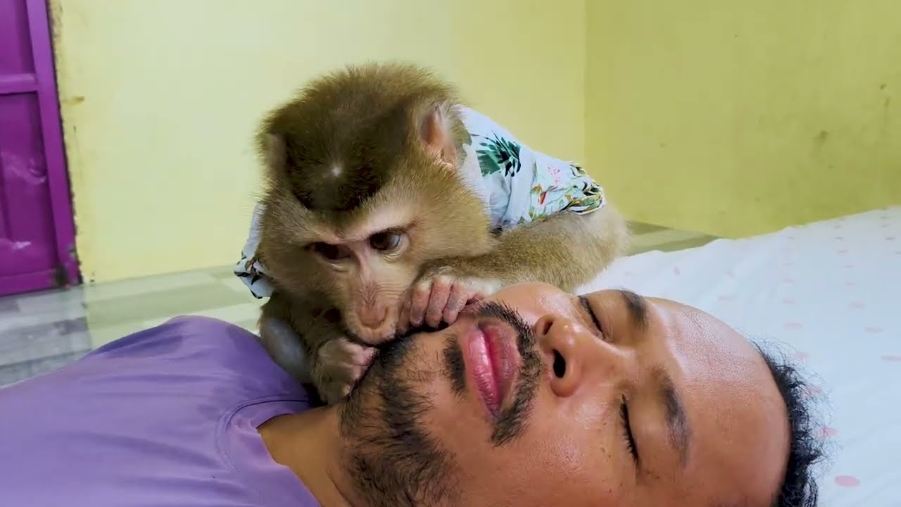 Dr. LYLY Grooming Beard Dissolve Stress In Mind To Release