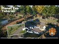Planet Zoo Natural Habitat Tutorial! Steps and Ideas!