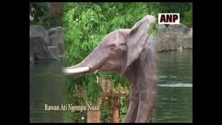 RAWAN ATI NGEMPU NUAN - RICKIE ANDREWSON ( KOLEKSI LAGU LAMA )