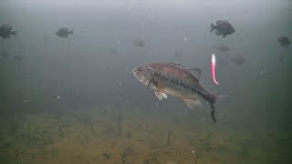 INSANE First Ice Fishing Trip with a Underwater Camera (Marcum Pursuit HD L Impressions)