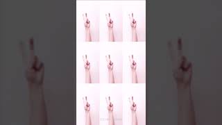 Pitu app videos telugu edit videos songs screenshot 4