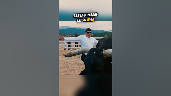 El Desafío con el Toro: ¡Una Carrera Inesperada! 🎯🐂
