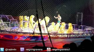 Tigers and Lions! | Chicago Ringling Brothers Circus