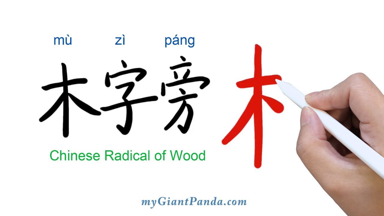 木字旁 Chinese Radical Of Wood 学写中文偏旁部首笔画 Learn To Write Chinese Characters 学写字 Youtube