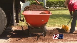 BBB recieves nearly 4,000 lawn care complaints