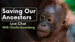Saving Our Ancestors | Live Chat with Charlie Annenberg