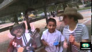 la abejita real - LOS HERMANOS CIFUENTES