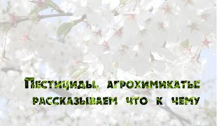 Пестициды, агрохимикаты: рассказываем что к чему (без вставок)