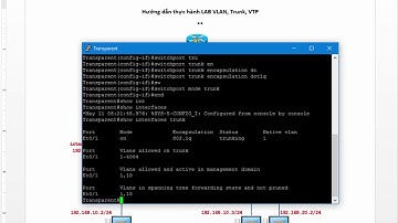Bài 14  Tìm hiểu VLAN, Trunk Hướng dẫn thực hành