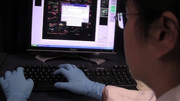 Stage 5: Kinex KAM™ Antibody Microarray Scanning and Quantification