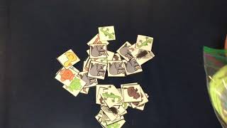 Pond theme activities