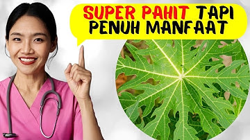 8 Manfaat dan Bahaya Daun Pepaya yang Terbukti Ilmiah