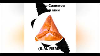 Венер Салимов - ТАТАР МИН (K.M. REMIX) (BASS, CAR MUSIC 2022) (TATAR MUSIC)