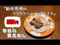 今日の貧乏めし 副作用明け、てりやきハンバーグライス 99円 【貧乏飯、貧乏料理レシピ】