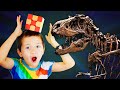 World&#39;s Biggest Dinosaur Meets Biggest Cube 😮 ADVENTURES WITH TINGBOY