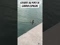 colvert tranquille au port de Gandía Espagne #espagne#gandia