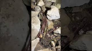 Blasting Caps Found In A Mine