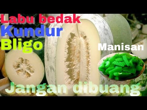 Video: Aktiviti Labu Untuk Kanak-kanak - Cara Membuat Labu Maraca